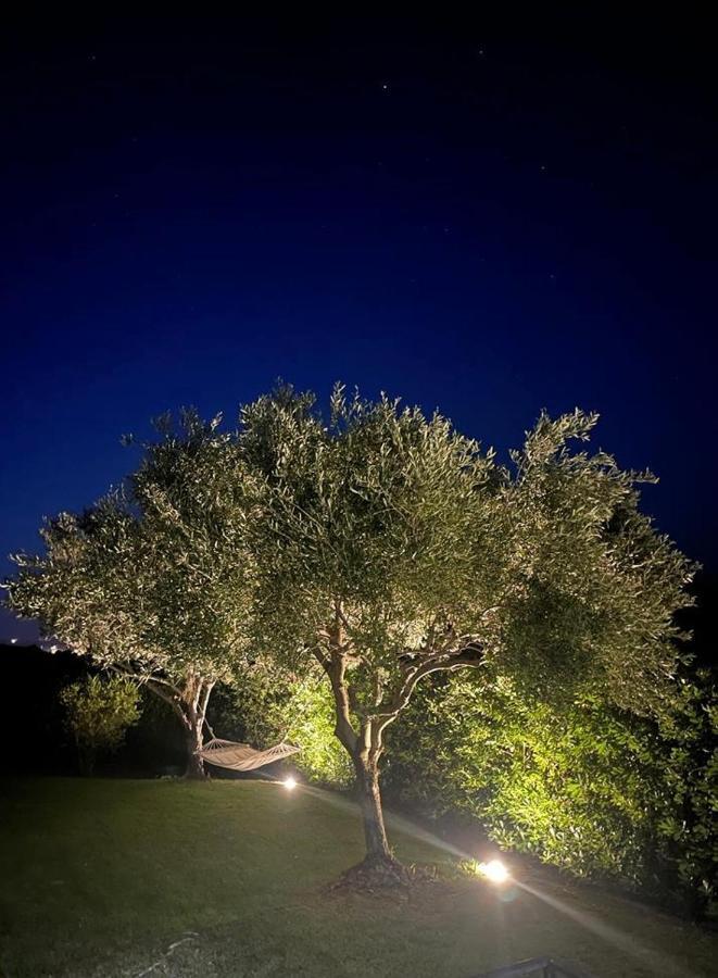 Villa Aurelia San Teodoro  Eksteriør billede